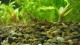 gallery_3102_210_84837
