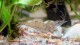 macro2_1493