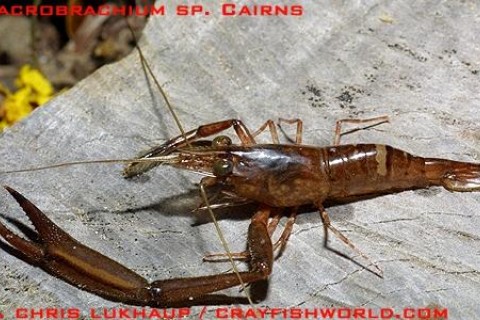 gallery_3102_210_31399