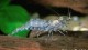 gallery_3102_210_3489