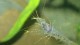 gallery_3102_210_5548