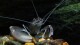 gallery_3102_210_39007