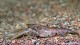 gallery_3102_210_64390