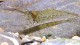 gallery_3102_210_3632